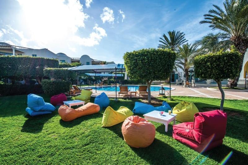 Penthouse Cosy Avec Piscine Privee Lejlighedshotel La Marsa Eksteriør billede